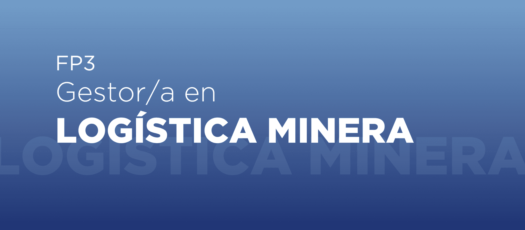 Log Minera